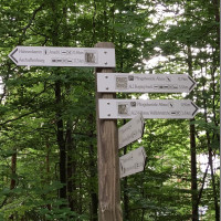 Naturkundliche Wanderung - Wegweiser
